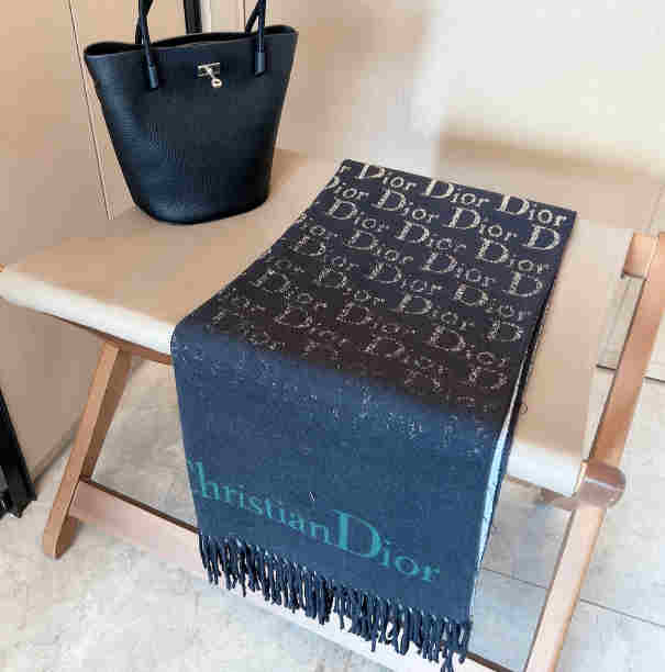 PC1695 DIOR Scarf