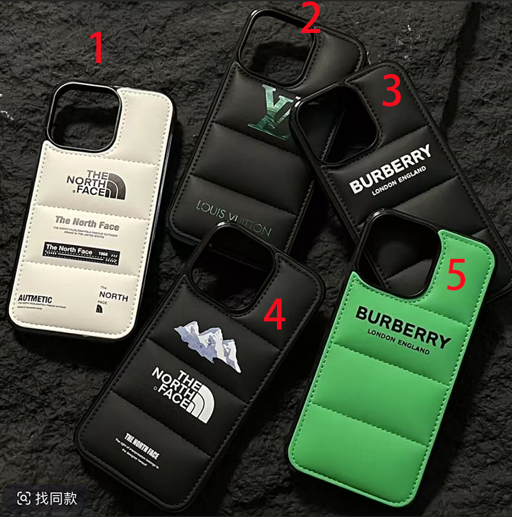 PC302 North Face iPhone 16  15 14 13  iPhone case