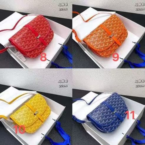 BB684 Goyard   bag