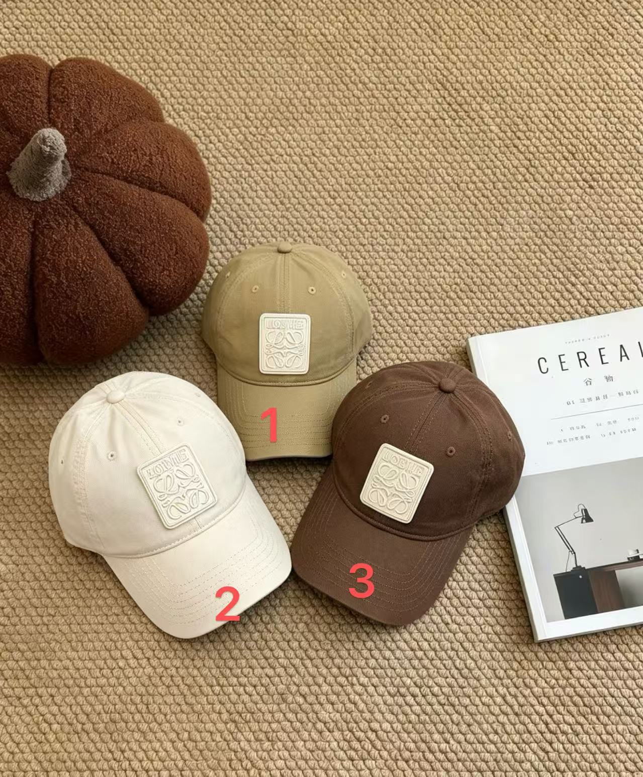 BB201 Loewe  original  quality hat