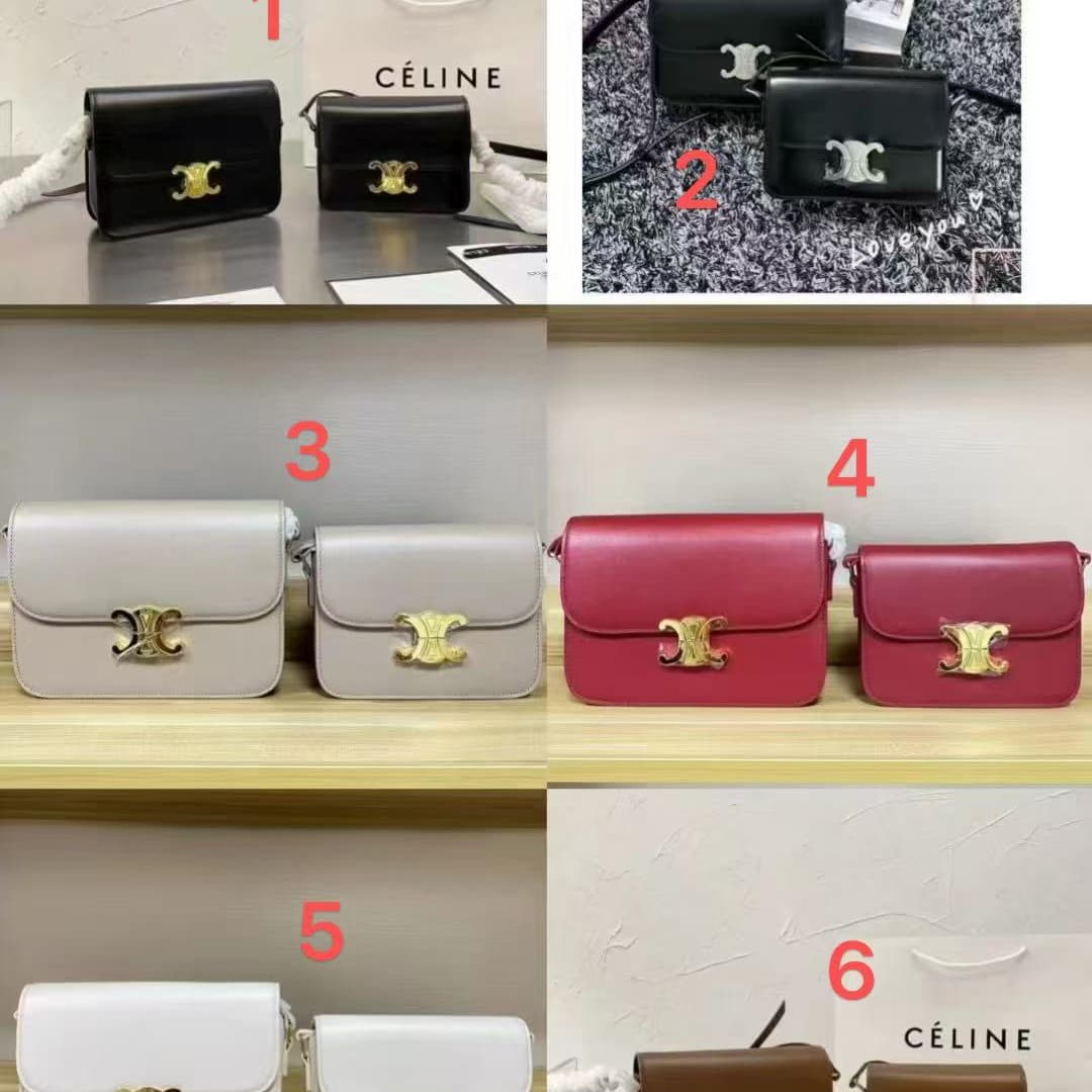 BB394 Celine Bag