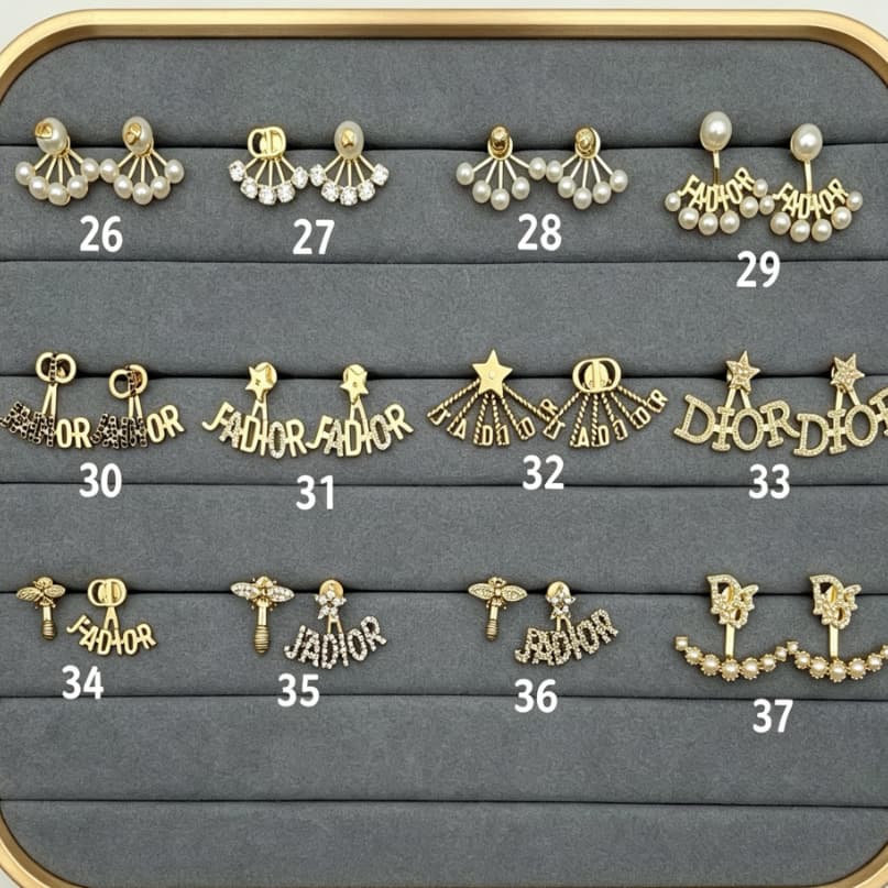 JR336 Dior earrings  original quality
